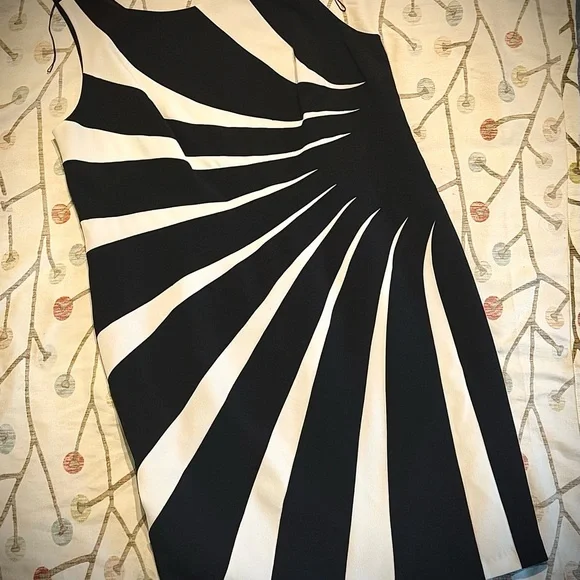 Adrianna Papell Dresses Adrianna Papell Black And White